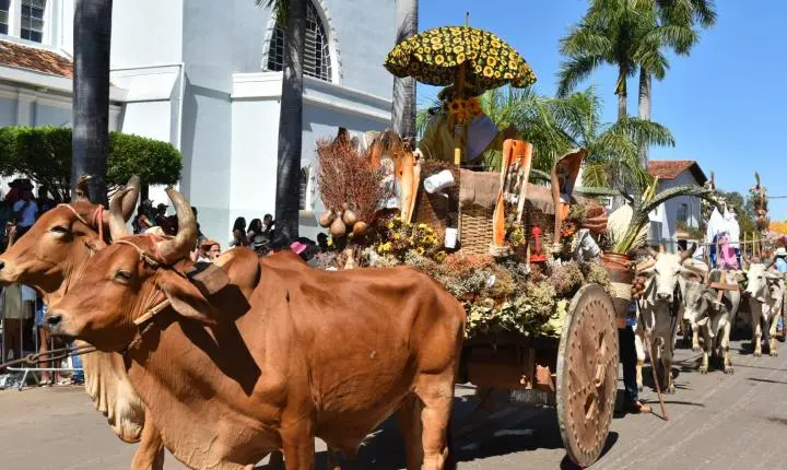 Festa de Nossa Senhora da Piedade em Felixlândia, Tradição e Cultura 