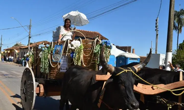 Festa de Nossa Senhora da Piedade em Felixlândia, Tradição e Cultura 