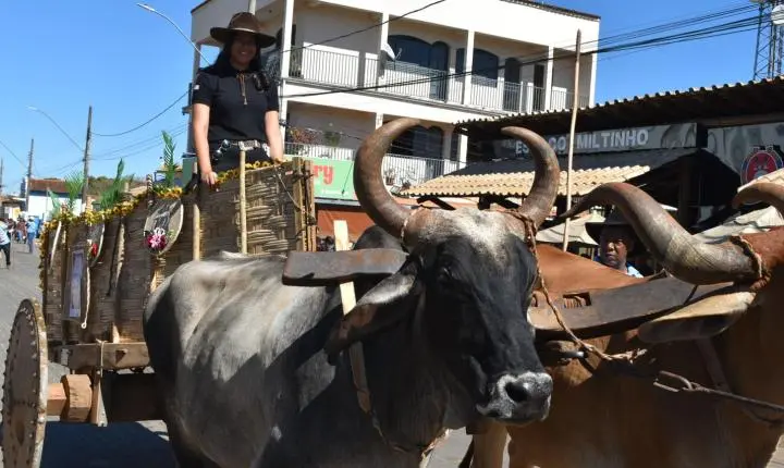 Festa de Nossa Senhora da Piedade em Felixlândia, Tradição e Cultura 