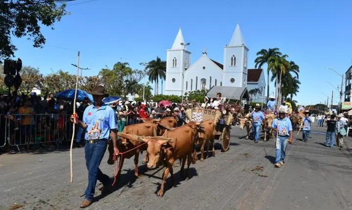 Festa de Nossa Senhora da Piedade em Felixlândia, Tradição e Cultura 