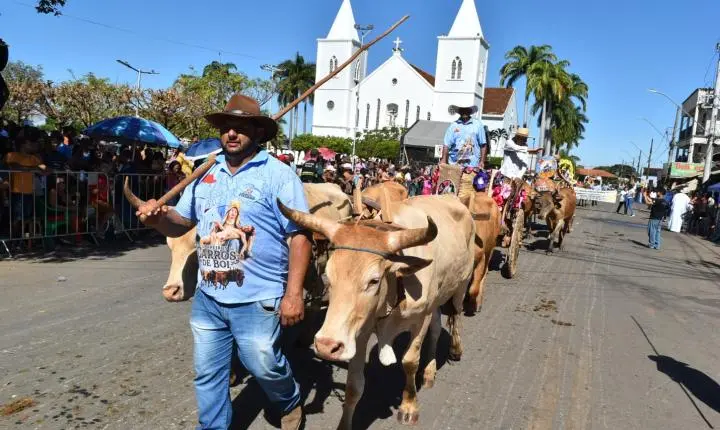 Festa de Nossa Senhora da Piedade em Felixlândia, Tradição e Cultura 