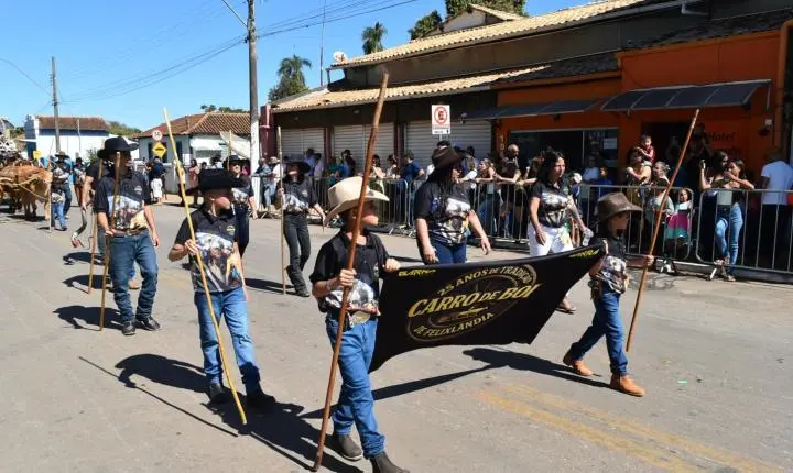 Festa de Nossa Senhora da Piedade em Felixlândia, Tradição e Cultura 