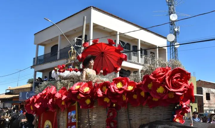 Festa de Nossa Senhora da Piedade em Felixlândia, Tradição e Cultura 