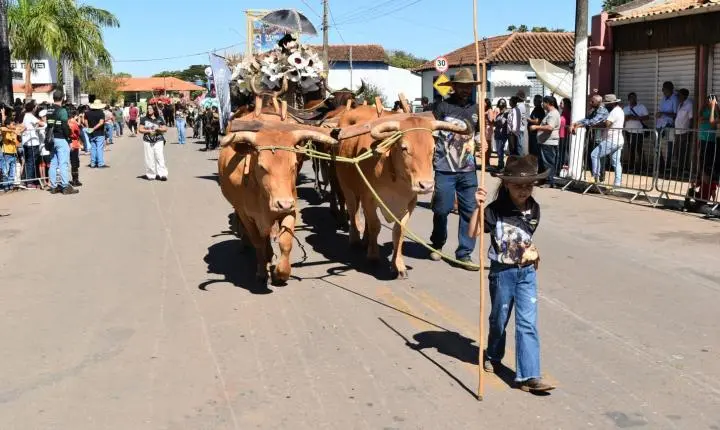 Festa de Nossa Senhora da Piedade em Felixlândia, Tradição e Cultura 