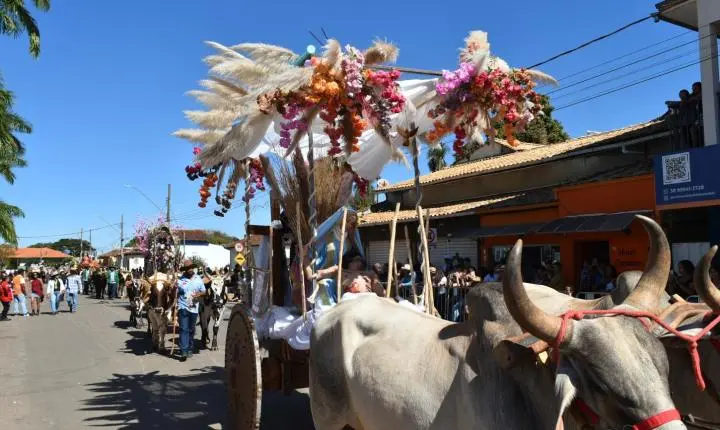 Festa de Nossa Senhora da Piedade em Felixlândia, Tradição e Cultura 
