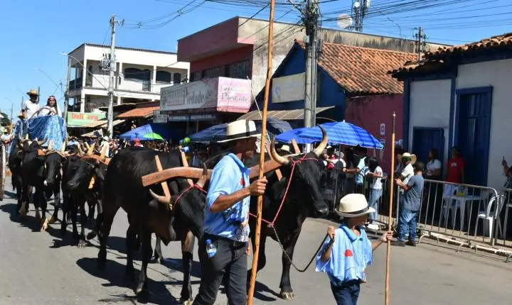 Festa de Nossa Senhora da Piedade em Felixlândia, Tradição e Cultura 