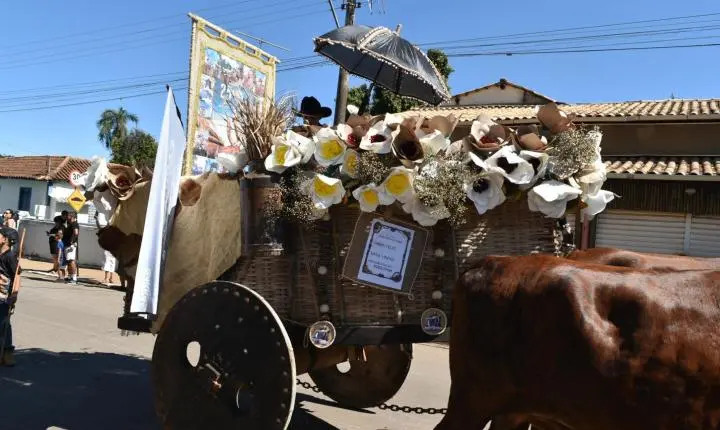 Festa de Nossa Senhora da Piedade em Felixlândia, Tradição e Cultura 