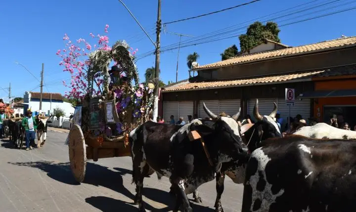 Festa de Nossa Senhora da Piedade em Felixlândia, Tradição e Cultura 