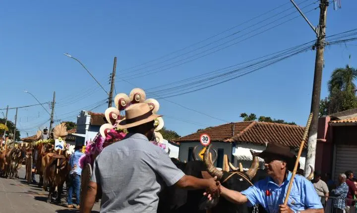 Festa de Nossa Senhora da Piedade em Felixlândia, Tradição e Cultura 