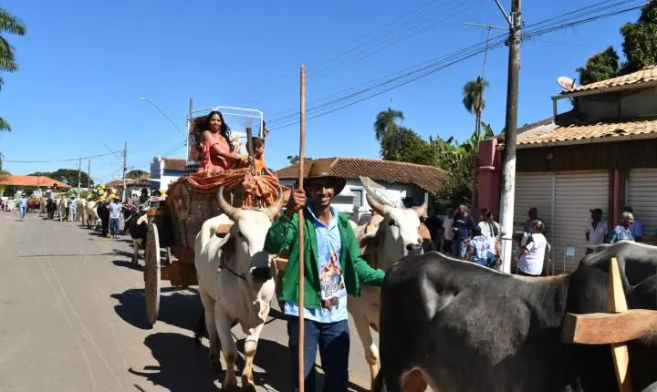 Festa de Nossa Senhora da Piedade em Felixlândia, Tradição e Cultura 
