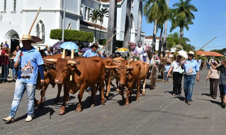 Festa de Nossa Senhora da Piedade em Felixlândia, Tradição e Cultura 
