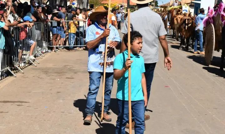 Festa de Nossa Senhora da Piedade em Felixlândia, Tradição e Cultura 