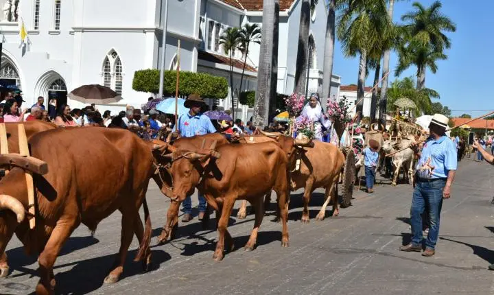 Festa de Nossa Senhora da Piedade em Felixlândia, Tradição e Cultura 