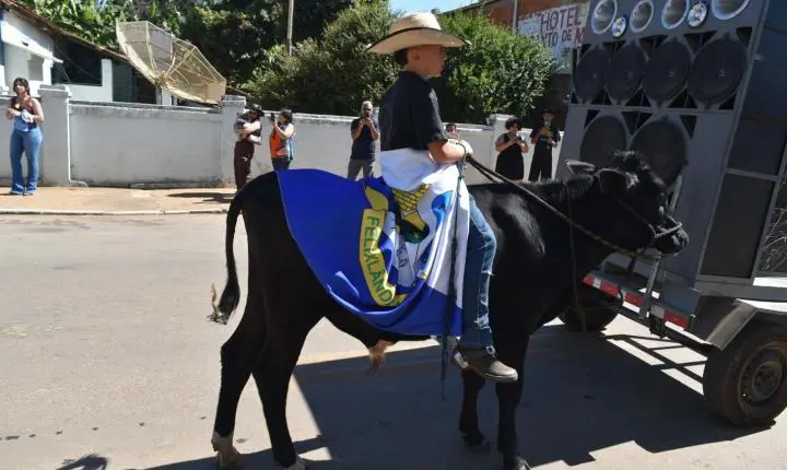 Festa de Nossa Senhora da Piedade em Felixlândia, Tradição e Cultura 