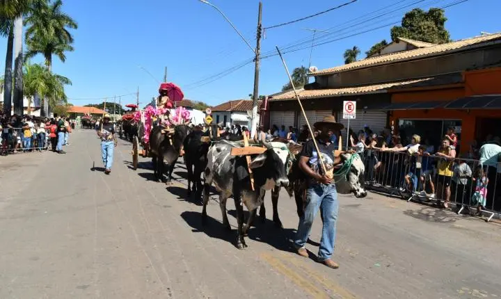 Festa de Nossa Senhora da Piedade em Felixlândia, Tradição e Cultura 