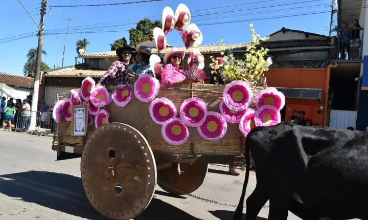Festa de Nossa Senhora da Piedade em Felixlândia, Tradição e Cultura 
