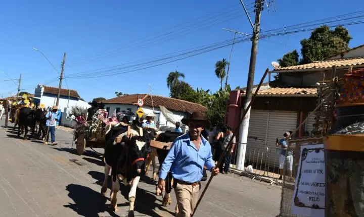 Festa de Nossa Senhora da Piedade em Felixlândia, Tradição e Cultura 
