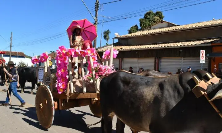 Festa de Nossa Senhora da Piedade em Felixlândia, Tradição e Cultura 