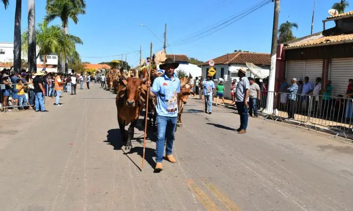 Festa de Nossa Senhora da Piedade em Felixlândia, Tradição e Cultura 
