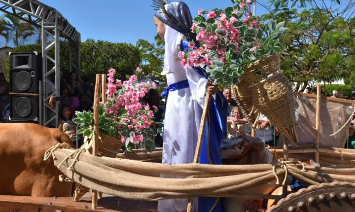 Festa de Nossa Senhora da Piedade em Felixlândia, Tradição e Cultura 