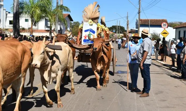 Festa de Nossa Senhora da Piedade em Felixlândia, Tradição e Cultura 