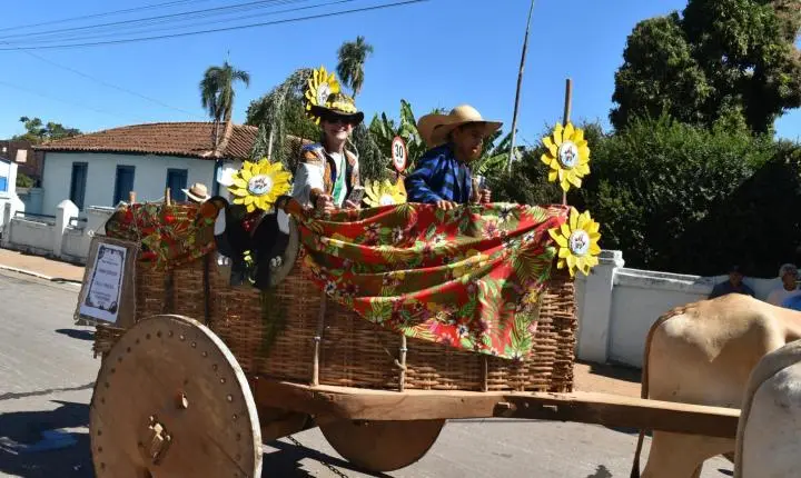 Festa de Nossa Senhora da Piedade em Felixlândia, Tradição e Cultura 
