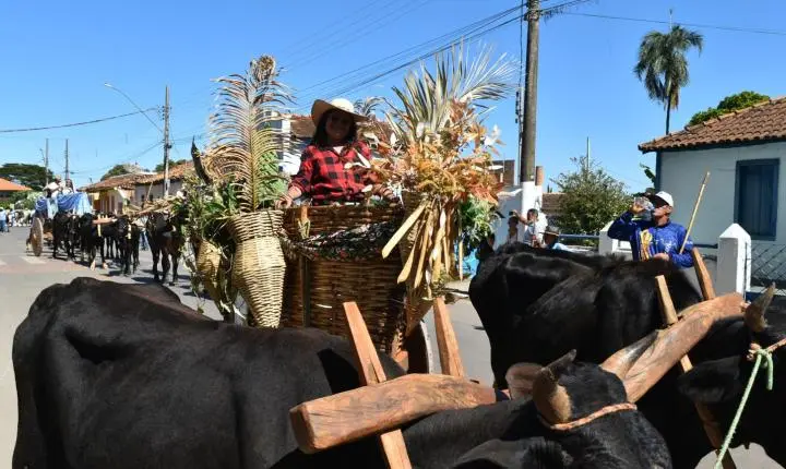 Festa de Nossa Senhora da Piedade em Felixlândia, Tradição e Cultura 