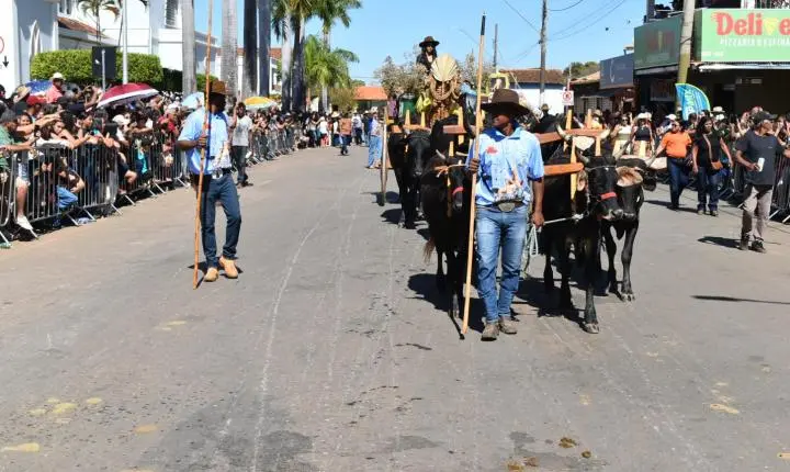 Festa de Nossa Senhora da Piedade em Felixlândia, Tradição e Cultura 
