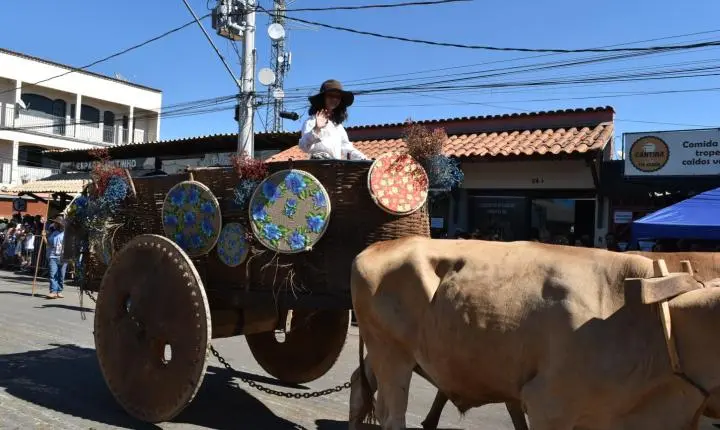 Festa de Nossa Senhora da Piedade em Felixlândia, Tradição e Cultura 