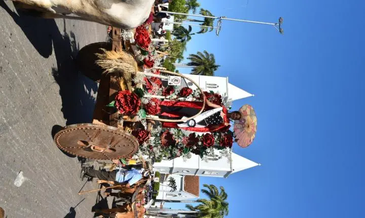 Festa de Nossa Senhora da Piedade em Felixlândia, Tradição e Cultura 