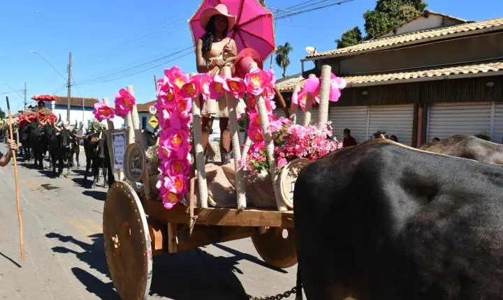 Festa de Nossa Senhora da Piedade em Felixlândia, Tradição e Cultura 