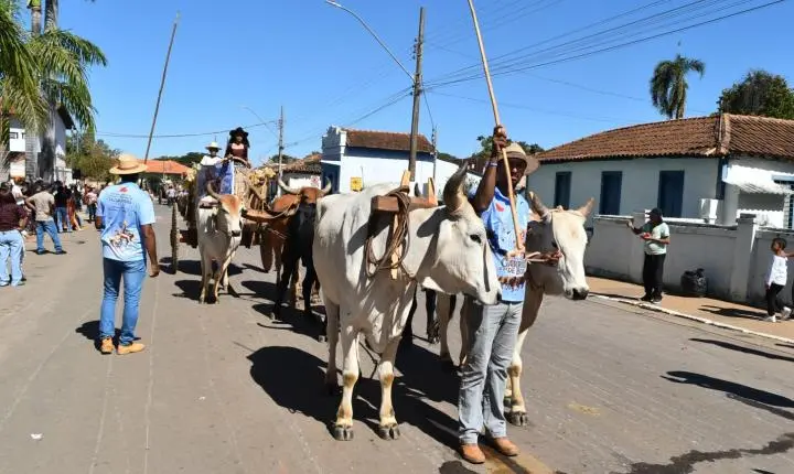 Festa de Nossa Senhora da Piedade em Felixlândia, Tradição e Cultura 