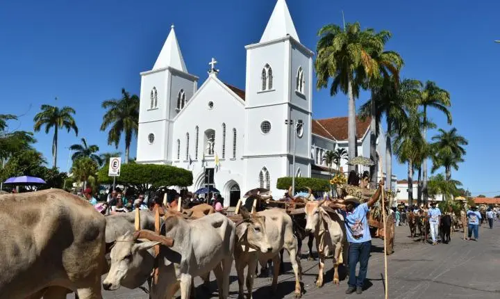 Festa de Nossa Senhora da Piedade em Felixlândia, Tradição e Cultura 