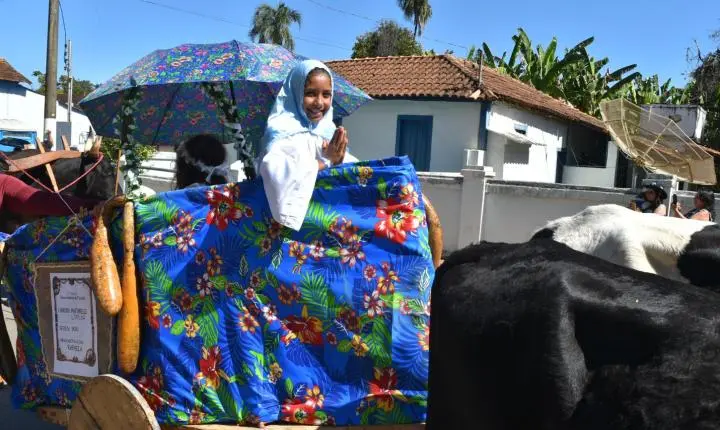 Festa de Nossa Senhora da Piedade em Felixlândia, Tradição e Cultura 