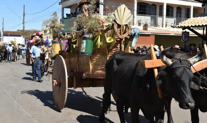 Festa de Nossa Senhora da Piedade em Felixlândia, Tradição e Cultura 