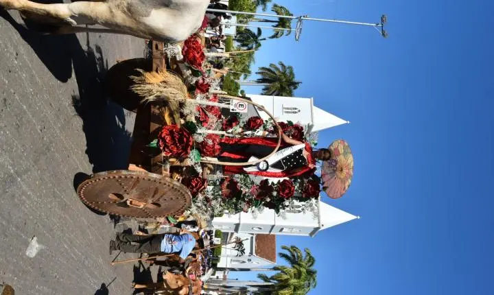 Festa de Nossa Senhora da Piedade em Felixlândia, Tradição e Cultura 
