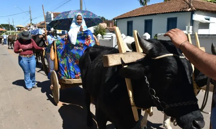 Festa de Nossa Senhora da Piedade em Felixlândia, Tradição e Cultura 