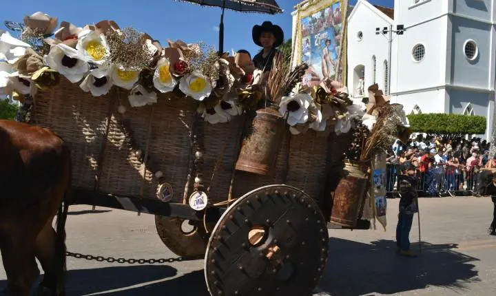 Festa de Nossa Senhora da Piedade em Felixlândia, Tradição e Cultura 