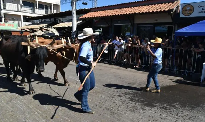 Festa de Nossa Senhora da Piedade em Felixlândia, Tradição e Cultura 