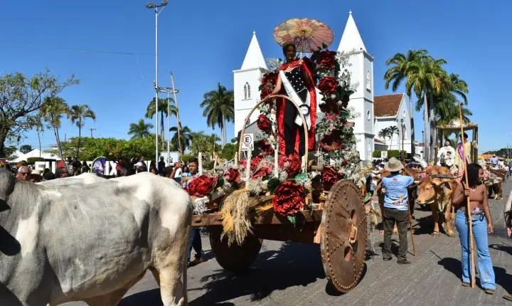 Festa de Nossa Senhora da Piedade em Felixlândia, Tradição e Cultura 