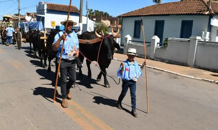 Festa de Nossa Senhora da Piedade em Felixlândia, Tradição e Cultura 