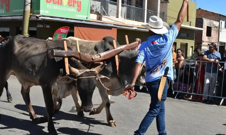 Festa de Nossa Senhora da Piedade em Felixlândia, Tradição e Cultura 