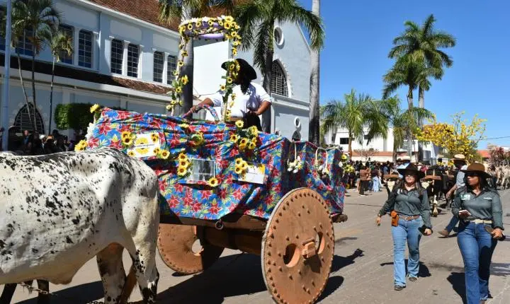 Festa de Nossa Senhora da Piedade em Felixlândia, Tradição e Cultura 