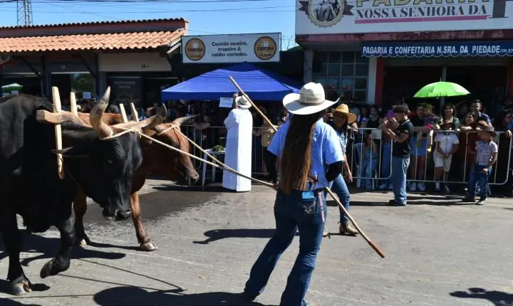 Festa de Nossa Senhora da Piedade em Felixlândia, Tradição e Cultura 