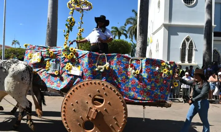 Festa de Nossa Senhora da Piedade em Felixlândia, Tradição e Cultura 