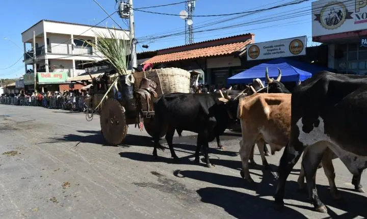 Festa de Nossa Senhora da Piedade em Felixlândia, Tradição e Cultura 