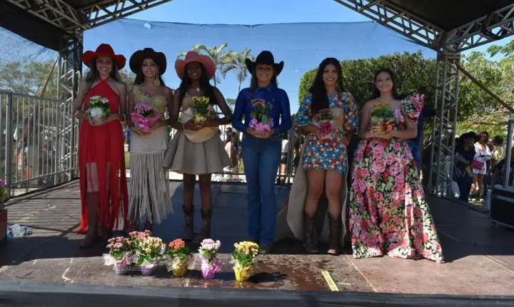 Festa de Nossa Senhora da Piedade em Felixlândia, Tradição e Cultura 