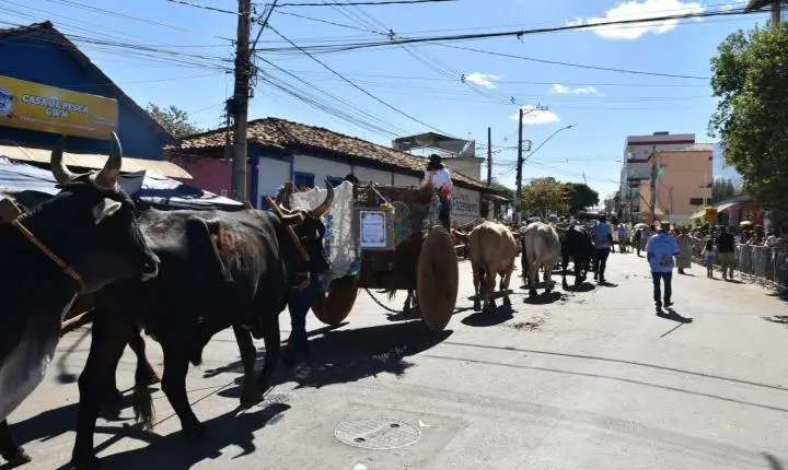 Festa de Nossa Senhora da Piedade em Felixlândia, Tradição e Cultura 
