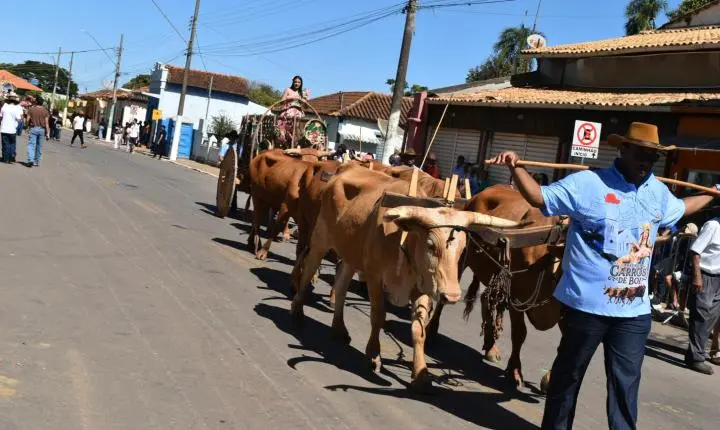 Festa de Nossa Senhora da Piedade em Felixlândia, Tradição e Cultura 
