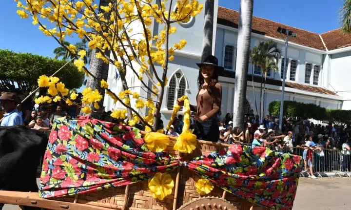 Festa de Nossa Senhora da Piedade em Felixlândia, Tradição e Cultura 